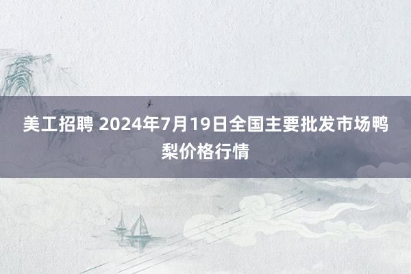 美工招聘 2024年7月19日全国主要批发市场鸭梨价格行情