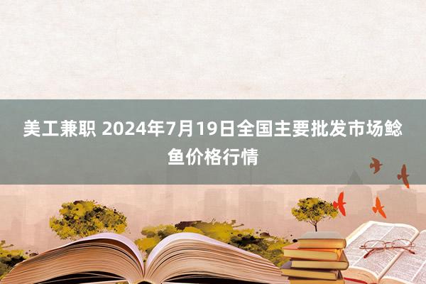 美工兼职 2024年7月19日全国主要批发市场鲶鱼价格行情